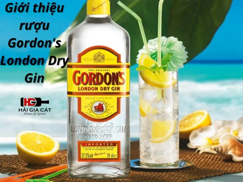 Giới thiệu rượu Gordon's Dry Gin