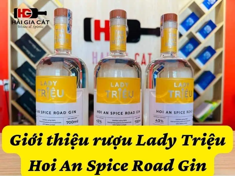 Giới thiệu về rượu Lady Triệu Hoi An Spice Road Gin