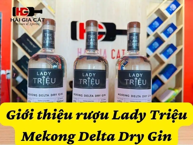 Giới thiệu rượu Lady Triệu Mekong Delta Dry Gin