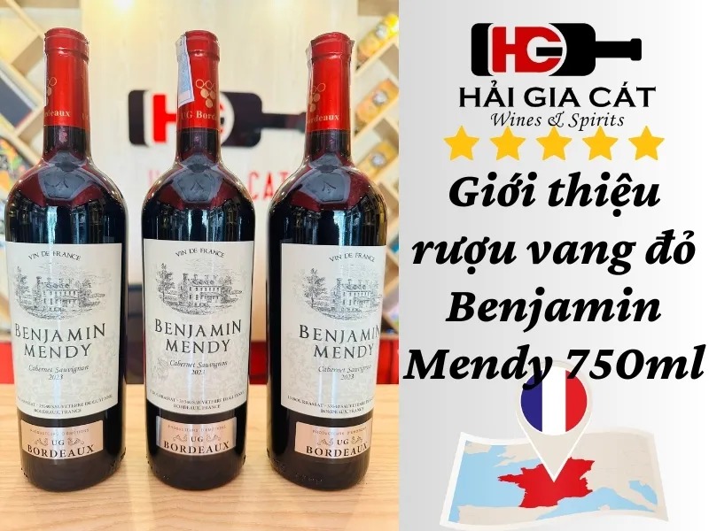 Giới thiệu rượu vang đỏ Benjamin Mendy 750ml
