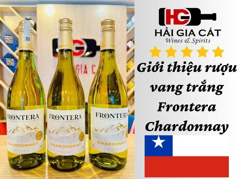 Giới thiệu rượu vang trắng Frontera Chardonnay