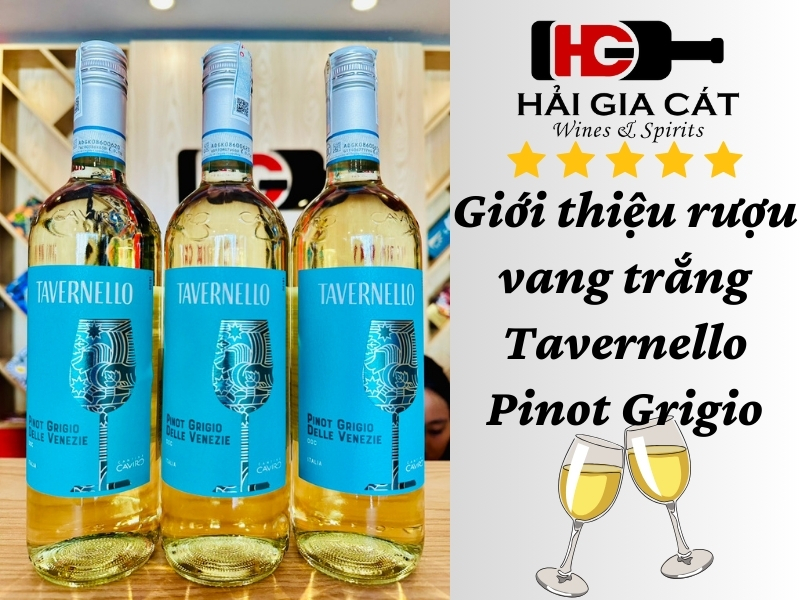 Giới thiệu rượu vang trắng Tavernello Pinot Grigio HGC