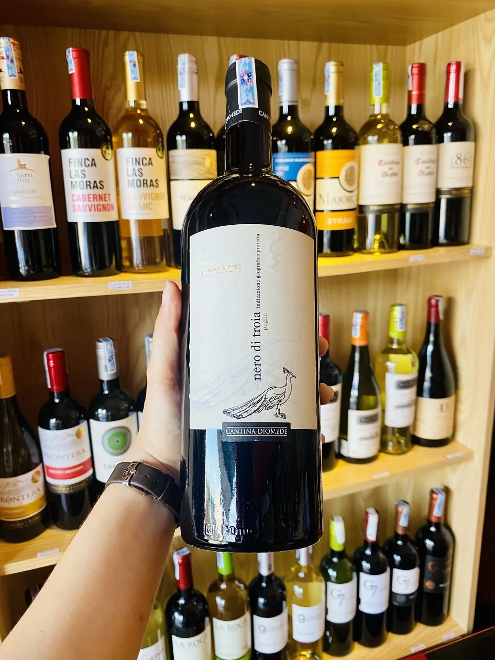 Mua rượu vang Canace Nero Di Troia  ở Đà Nẵng tại Hải Gia Cát