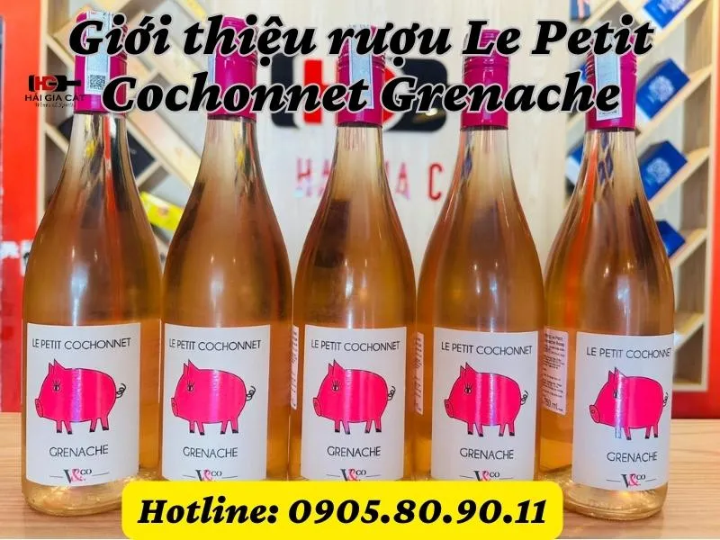 Giới thiệu rượu vang Le Petit Cochonnet Grenache