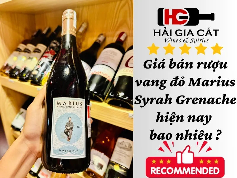 Giá bán rượu vang đỏ Marius Syrah Grenache hiện nay bao nhiêu ?