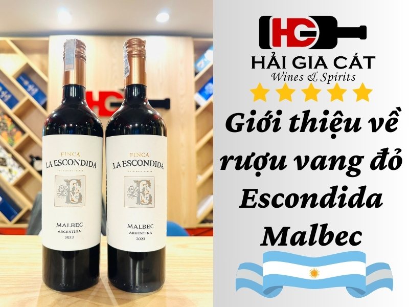 Giới thiệu về rượu vang đỏ Escondida Malbec