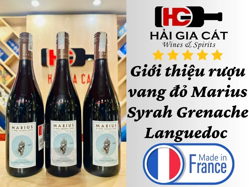 Giới thiệu rượu vang đỏ Marius Syrah Grenache