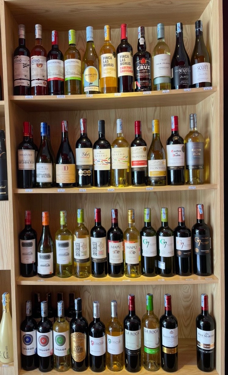Giới thiệu rượu vang Chile