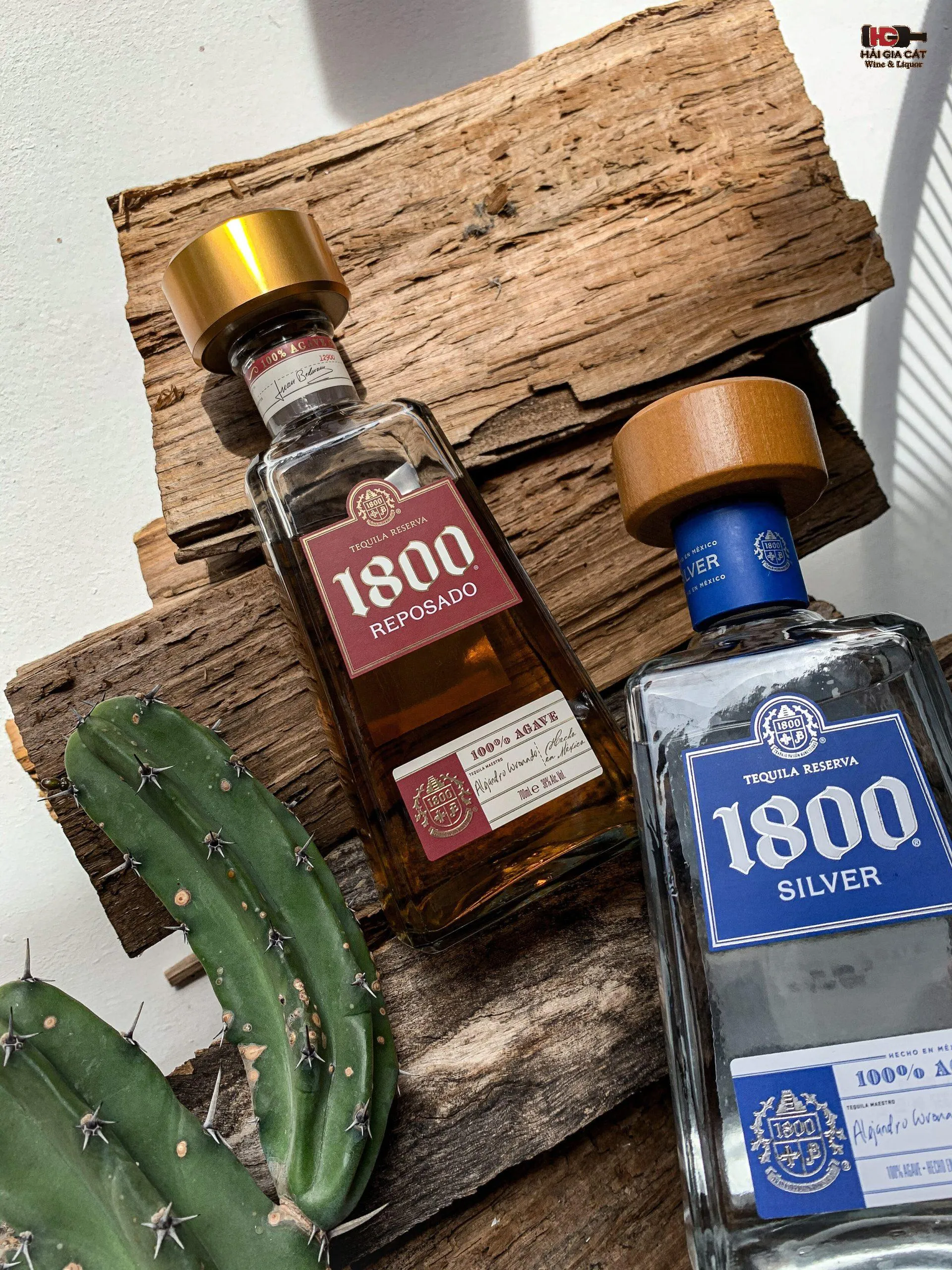 Quy trình sản xuất rượu Tequila