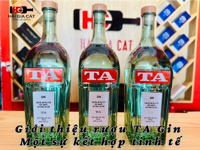 Giới thiệu rượu TA Gin