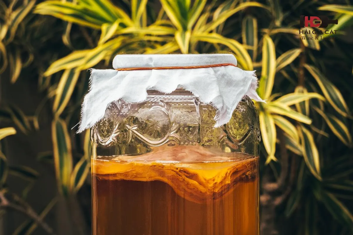 Dùng trà Kombucha được làm từ nho làm rượu vang.