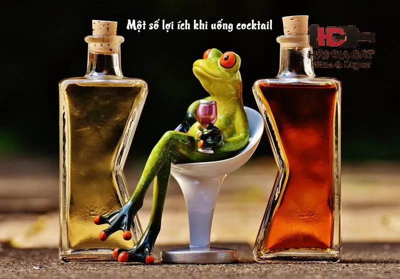 Một số lợi ích khi uống cocktail