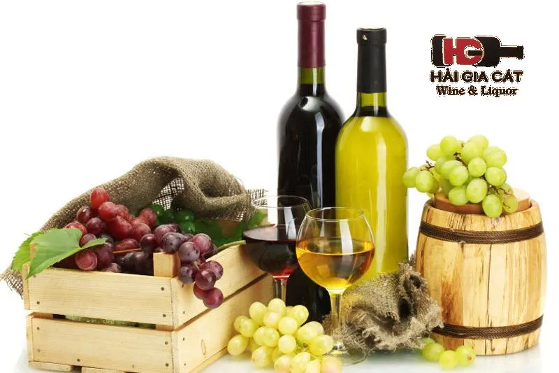 Sự khác nhau giữa các dòng rượu vang và cách phân biệt