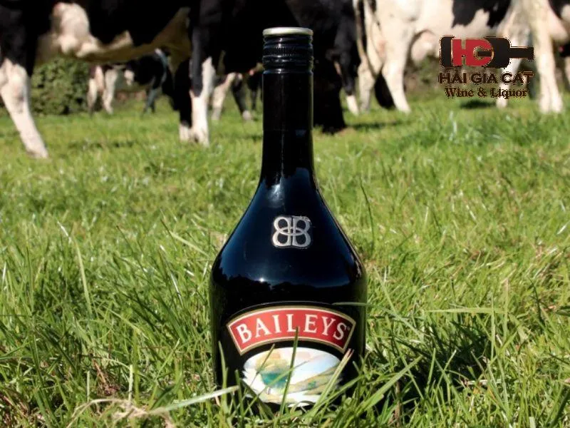 Quy trình pha chế rượu sữa Baileys