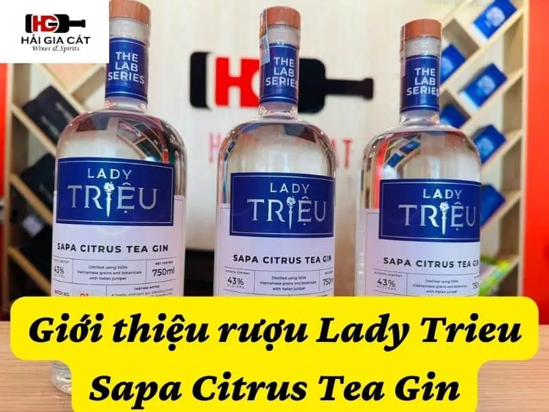 Giới thiệu rượu Lady Trieu Sapa Citrus Tea Gin