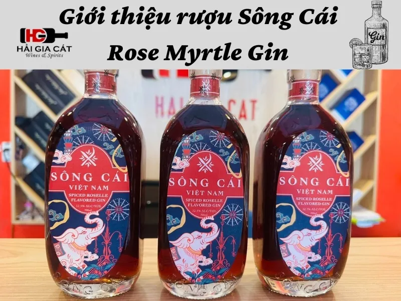 Giới thiệu rượu Sông Cái Rose Myrtle Gin 