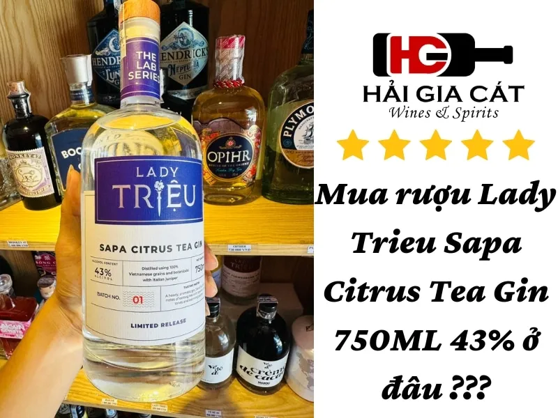 Mua rượu Lady Trieu Sapa Citrus Tea Gin 750ML 43% ở đâu ?