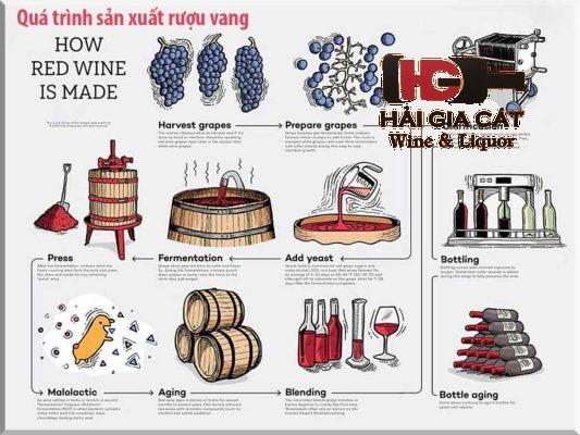 Quy trình sản xuất rượu vang đạt chuẩn
