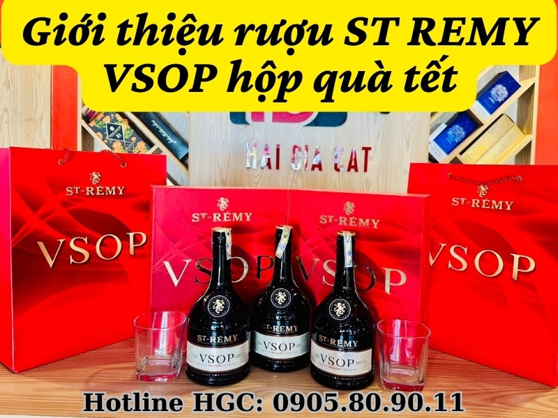 Giới thiệu rượu St Remy VSOP hộp quà Tết