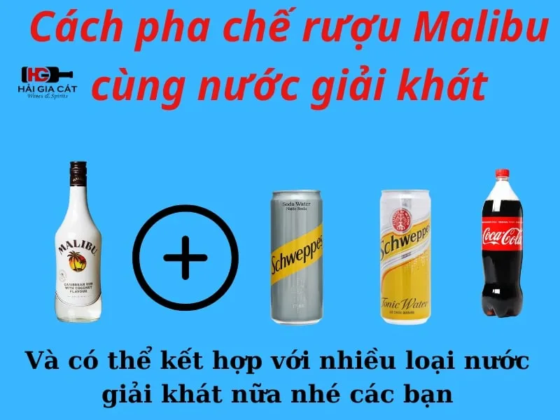 Cách pha chế rượu Malibu cùng nước giải khát