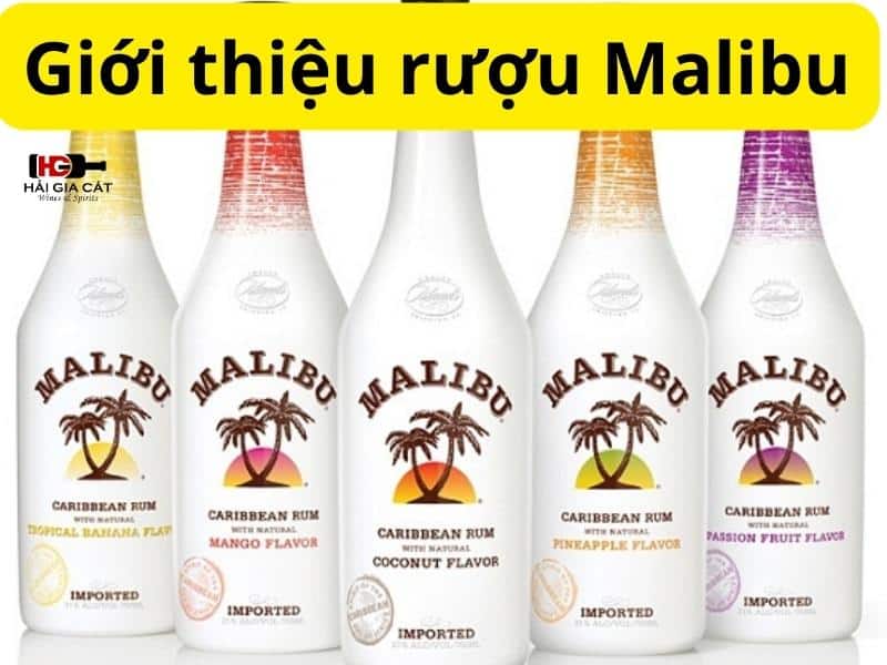 Giới thiệu rượu Malibu