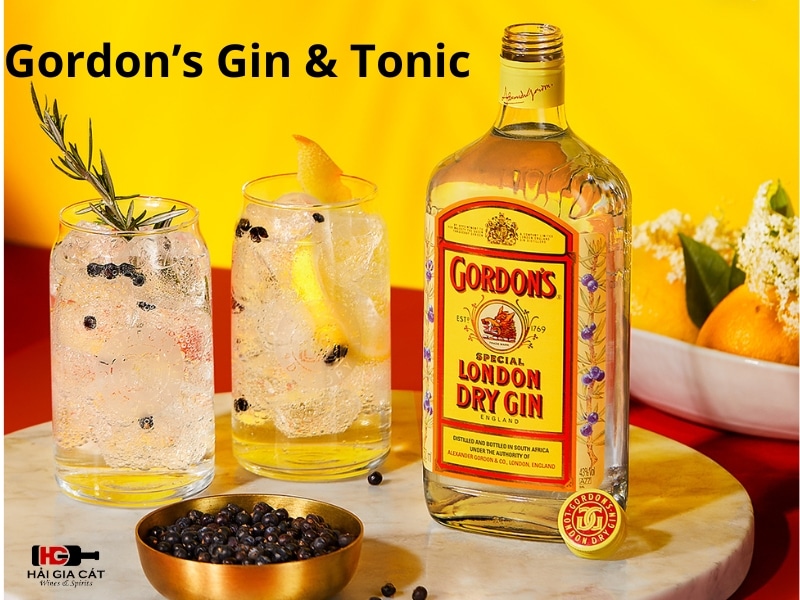 Gordon’s Gin & Tonic