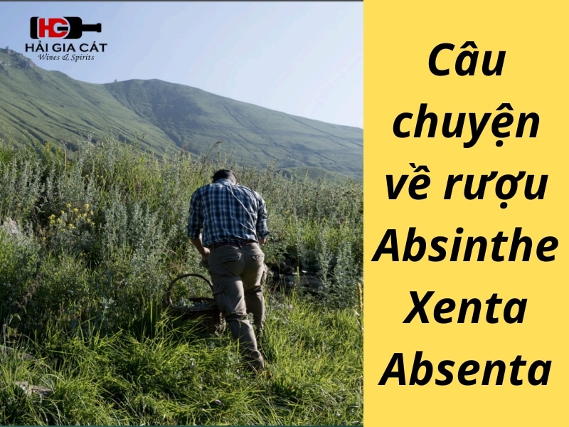 Câu chuyện về rượu Absinthe Xenta Absenta