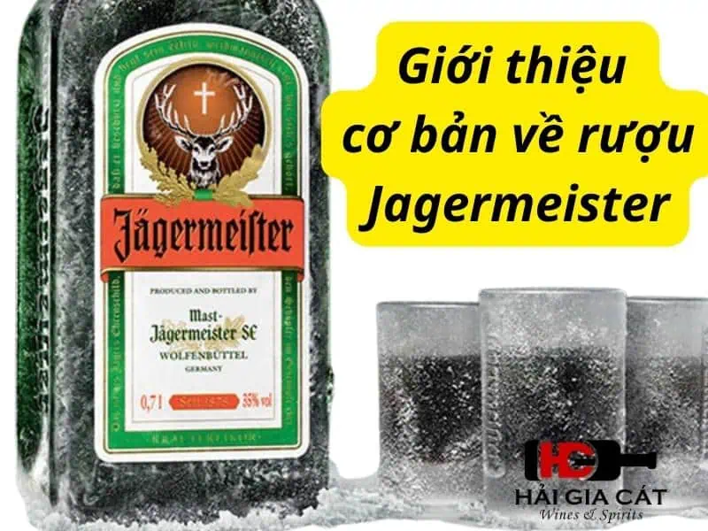 Giới thiệu cơ bản về rượu Jagermeister