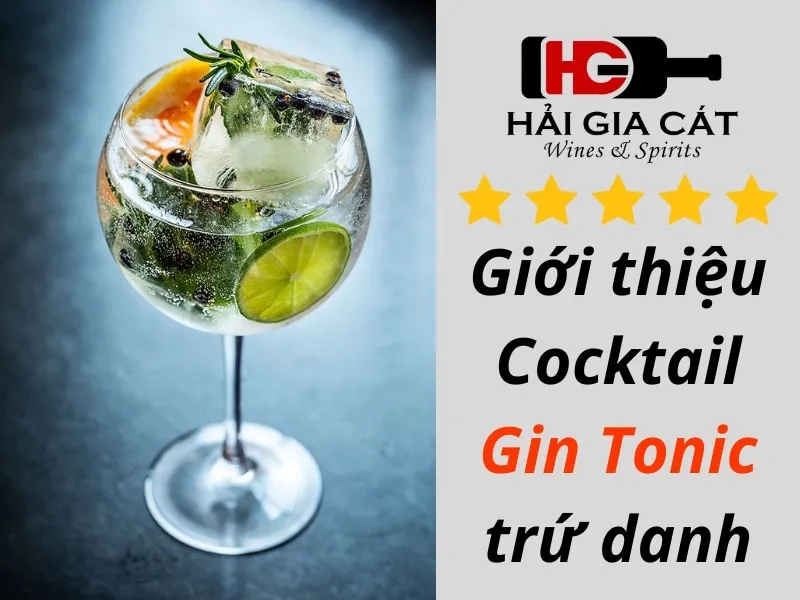 Giới thiệu Cocktail Gin Tonic