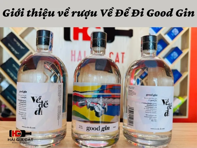 Giới thiệu về rượu Về Để Đi Good Gin