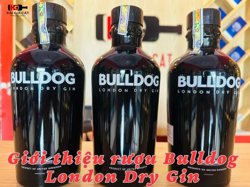 Giới thiệu Rượu Bulldog London Dry Gin