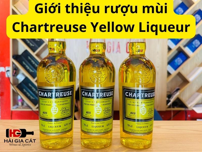 Giới thiệu rượu mùi Chartreuse Yellow Liqueur