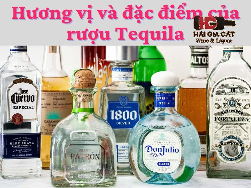 Hương vị và đặc điểm của rượu Tequila