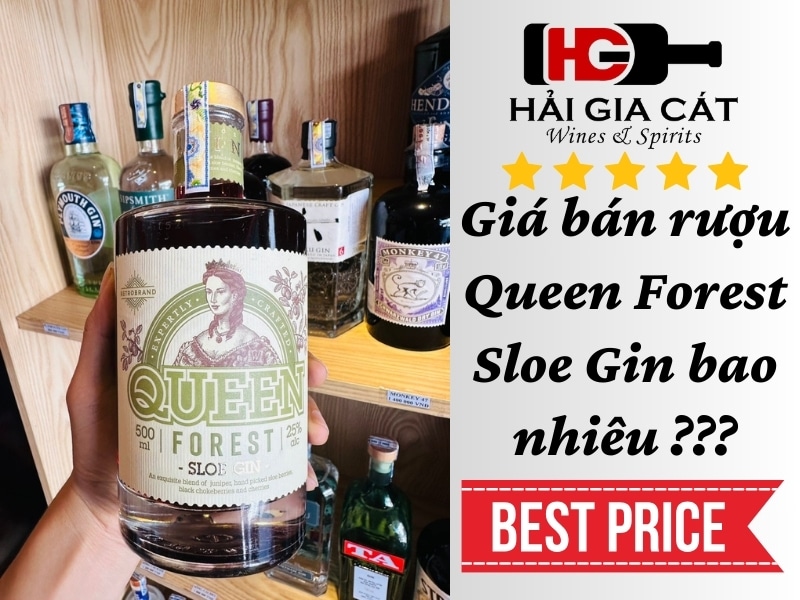 Giá bán rượu Queen Forest Sloe Gin bao nhiêu ???