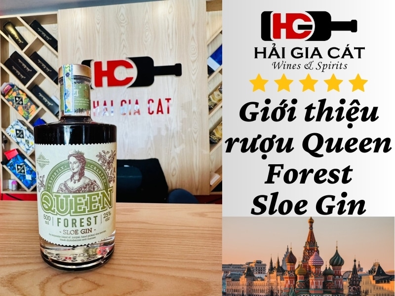 Giới thiệu rượu Queen Forest Sloe Gin