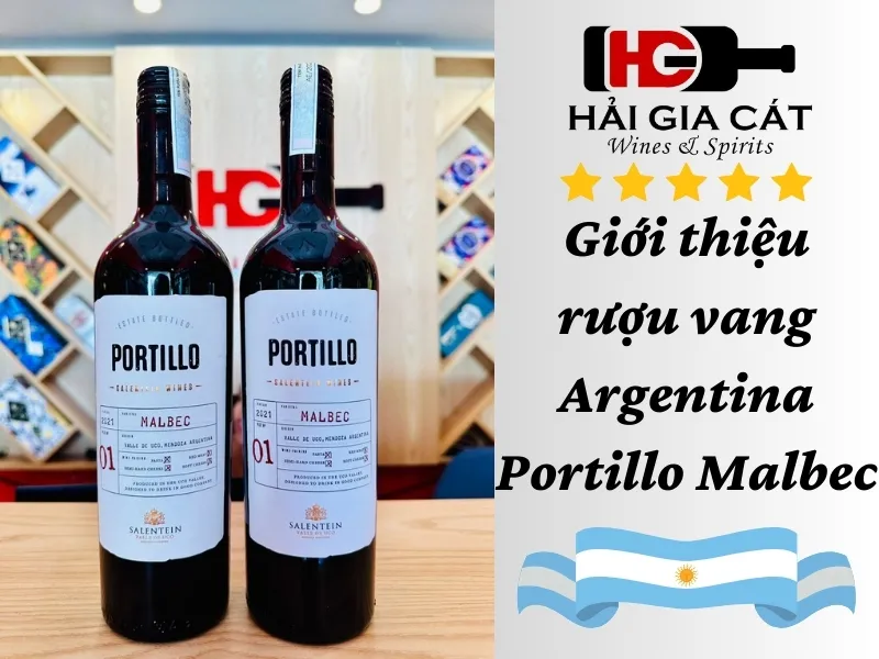 Giới thiệu rượu vang Argentina Portillo Malbec