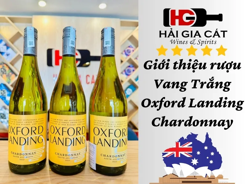 Giới thiệu rượu Vang Trắng Oxford Landing Chardonnay