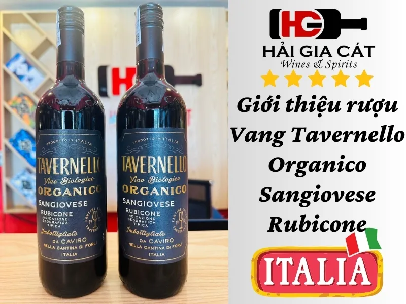 Giới thiệu rượu Vang Tavernello Organico Sangiovese Rubicone