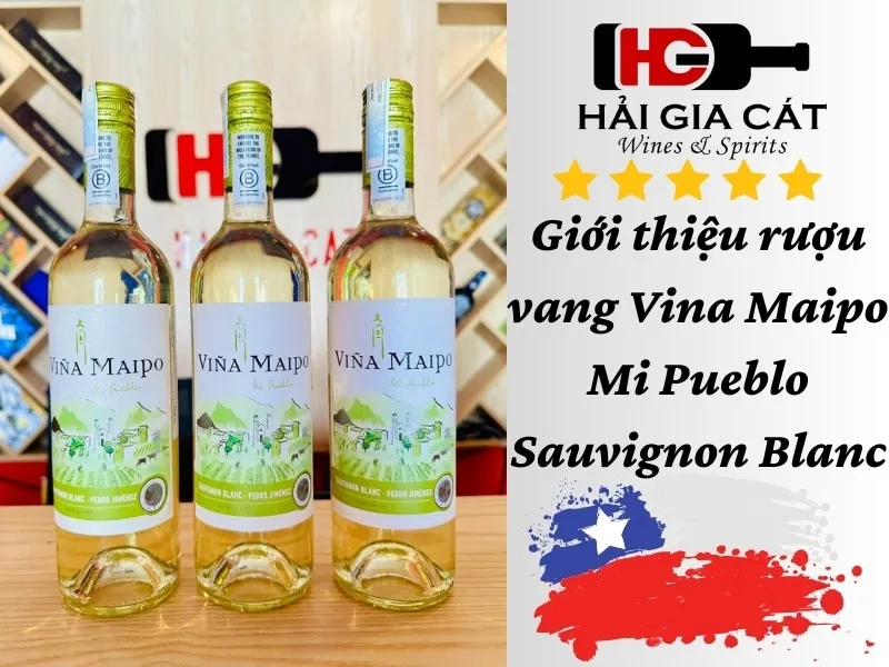 Giới thiệu rượu vang Vina Maipo Mi Pueblo Sauvignon Blanc