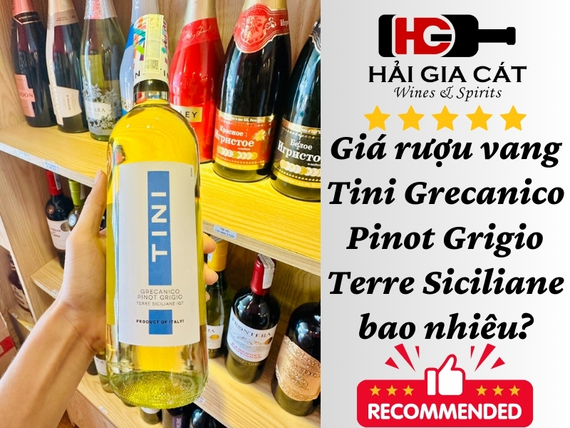 Giá rượu vang Tini Grecanico Pinot Grigio Terre Siciliane bao nhiêu?