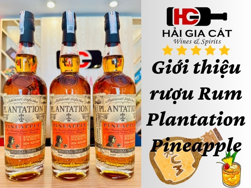 Giới thiệu rượu Rum Plantation Pineapple