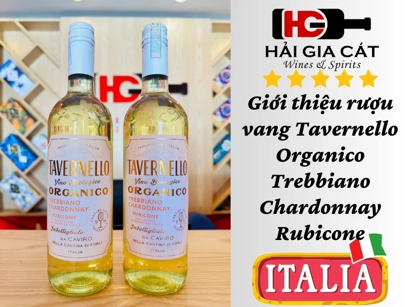 Giới thiệu về rượu vang Tavernello Organico Trebbiano Chardonnay Rubicone