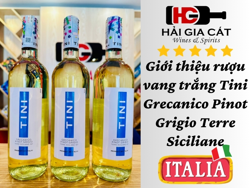 Giới thiệu rượu vang Tini Grecanico Pinot Grigio Terre Siciliane