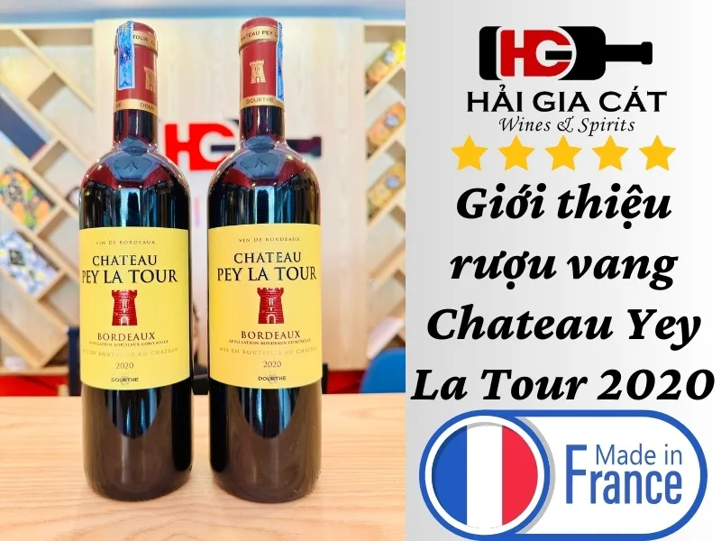 Giới thiệu rượu vang Chateau Pey La Tour 2020