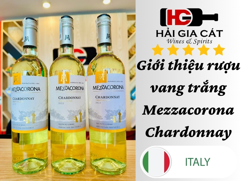 Giới thiệu rượu vang Mezzacorona Chardonnay