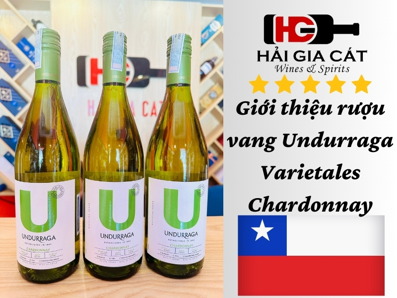 Giới thiệu rượu vang Undurraga Varietales Chardonnay