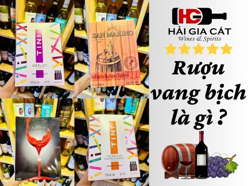 Ruou Vang Bich La Gi 1