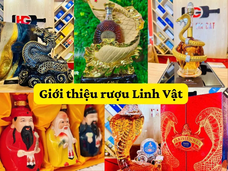 Gioi Thieu Ruou Linh Vat