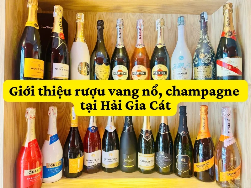 Gioi Thieu Ruou Vang No Champagne Tai Hai Gia Cat