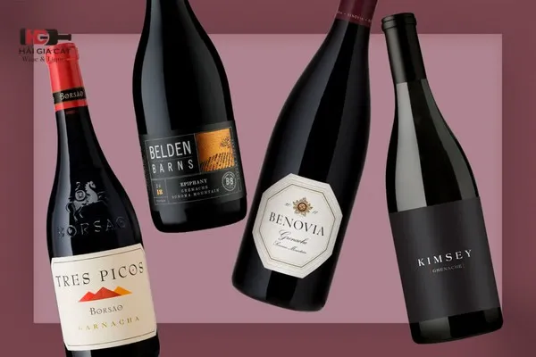 Rượu vang Grenache/Garnacha có mặt lâu đời ở Pháp và Tây Ban Nha